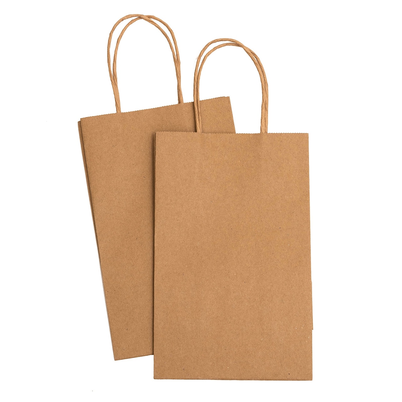 American Crafts™ Fancy That Small Kraft Gift Bags, 6ct.